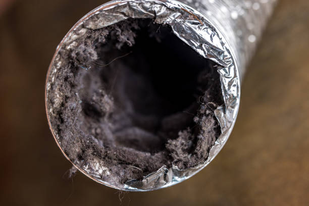 Best Air Duct Cleaning Near Me  in Fabrica, TX