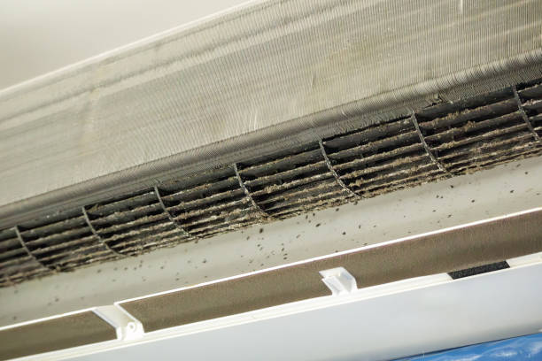 Best Residential Air Duct Cleaning  in Fabrica, TX